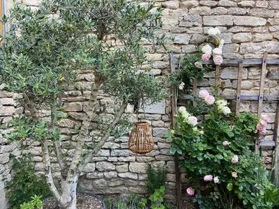 Jardin de l'établissement Maison Galimard