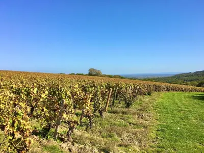 Paysage naturel près de le B&B/chambre d'hôtes