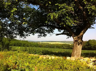 Paysage naturel près de le B&B/chambre d'hôtes
