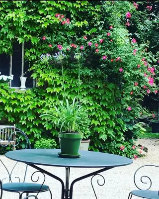 Jardin de l'établissement Les Chambres d'Hôtes du Bois Joli