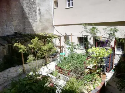 Jardin de l'établissement Les Boiseries
