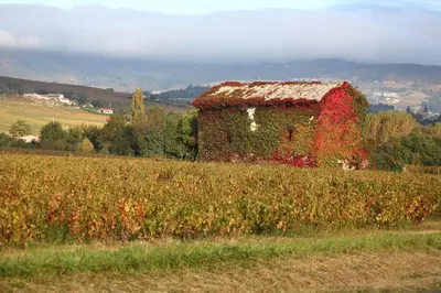 Paysage naturel près de l'appartement