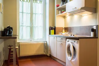 Cuisine ou kitchenette dans l'établissement Appartement Le Buffon
