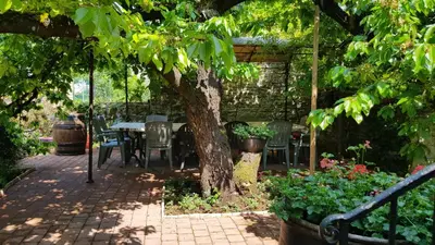 Jardin de l'établissement Chez Laurence