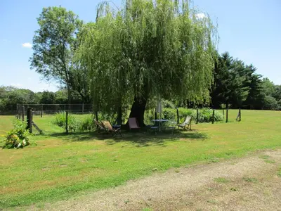Jardin de l'établissement La Closerie