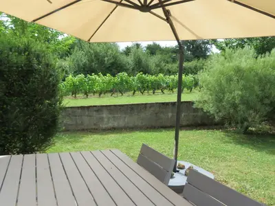 Jardin de l'établissement Les Vignes de Paris