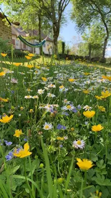 Jardin de l'établissement Gîte La Source