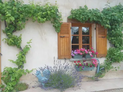 Jardin de l'établissement Domaine des Charmilles