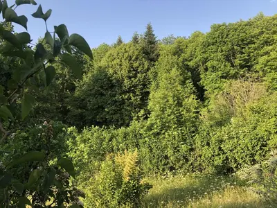 Paysage naturel près de la maison de vacances