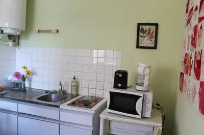Cuisine ou kitchenette dans l'établissement Appartement Val de Saône