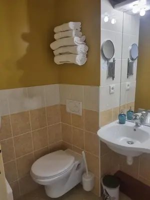 Salle de bains dans l'établissement Hôtel Le Kolibri
