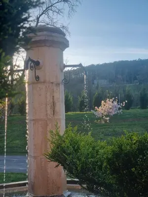 Jardin de l'établissement Hôtel Le Kolibri