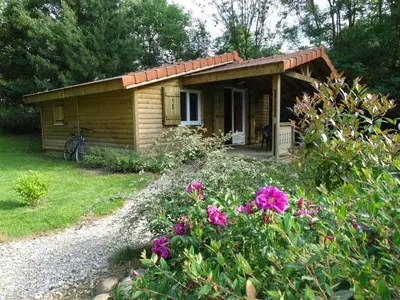Jardin de l'établissement Chalets du pontot