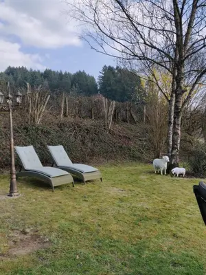 Jardin de l'établissement Auberge de La Chaloire