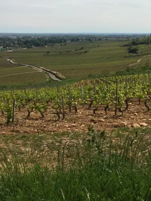 Paysage naturel près de la maison de vacances