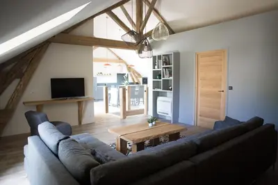 Télévision ou salle de divertissement dans l'établissement La Grange aux Ecureuils