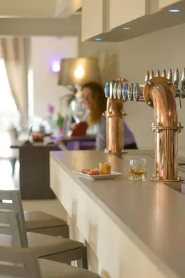 Boissons dans l'établissement Hôtel Le Vouglans - Restaurant La Valouse