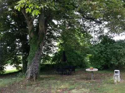 Jardin de l'établissement La Conciergerie du Manoir