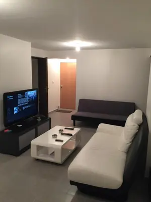 Télévision ou salle de divertissement dans l'établissement luxury dijon