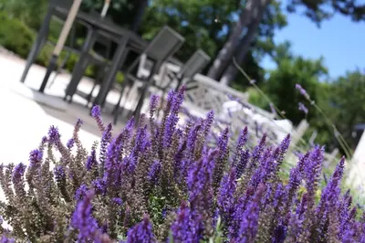 Jardin de l'établissement EVIDENCE Maison d'Hôtes