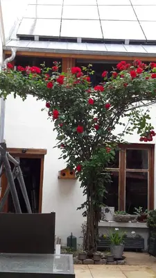 Bâtiment de l'appartement
