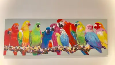 Animaux dans l'appartement ou à proximité
