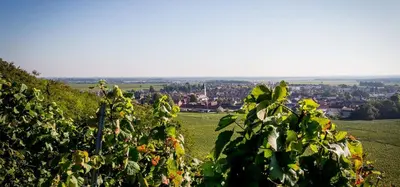 Paysage naturel près de l'hôtel