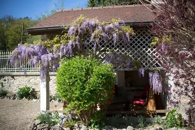 Jardin de l'établissement Maison de charme - 4 étoiles - Moulin de la serrée