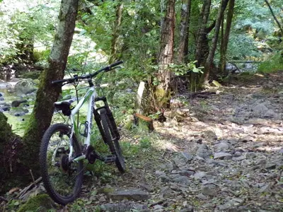 Vélo sur le terrain de l'établissement Gite 