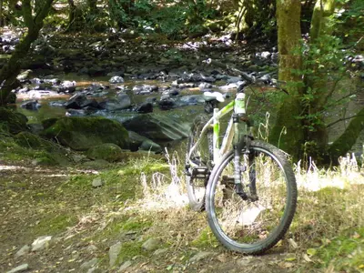Vélo sur le terrain de l'établissement Gite 