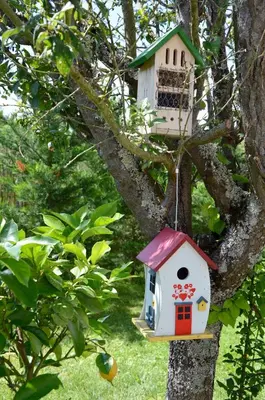 Jardin de l'établissement Particulier