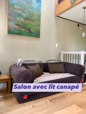 Coin salon dans l'établissement Gîte Chambre de la Tante Camille - Les Filles Tresy