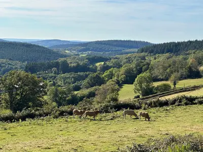 Paysage naturel près de la maison de vacances