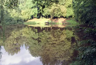 Paysage naturel près de la maison de vacances