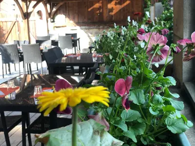 Restaurant ou autre lieu de restauration dans l'établissement Auberge du Renard'eau