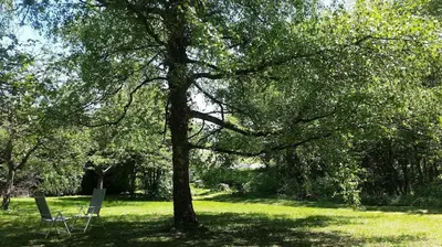 Jardin de l'établissement Le Cèdre enchanté