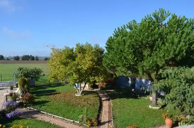 Jardin de l'établissement Les chambres de Marie'O