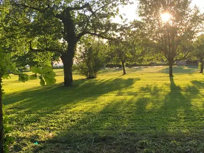 Jardin de l'établissement L'evidence