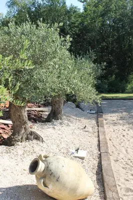 Jardin de l'établissement La Petite Ferme du Marais