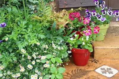 Jardin de l'établissement appartement Saint-Antoine