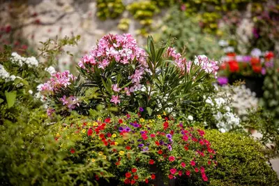 Jardin de l'établissement Le Hameau de Barboron