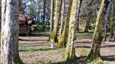 Jardin de l'établissement Chambres d'hôtes La Gargaille