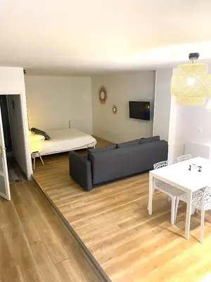 Télévision ou salle de divertissement dans l'établissement Suite 24 Appart'hôtel-3 étoiles