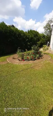 Jardin de l'établissement chez sylvie et jean-yves