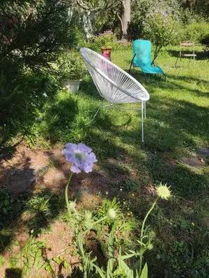 Jardin de l'établissement Gîte Chanay 80 m2 Tournus 2 chambres