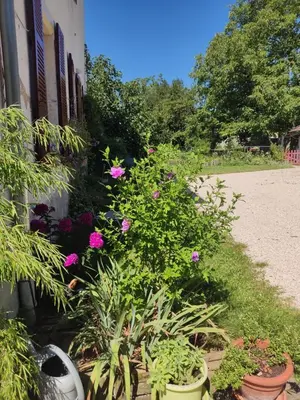 Jardin de l'établissement Gîte Chanay 80 m2 Tournus 2 chambres