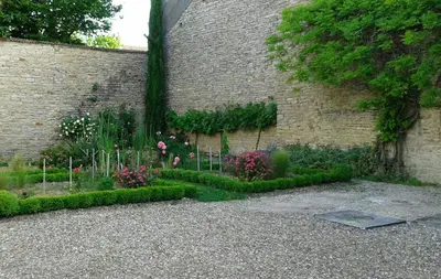 Jardin de l'établissement 10 Côté Cour