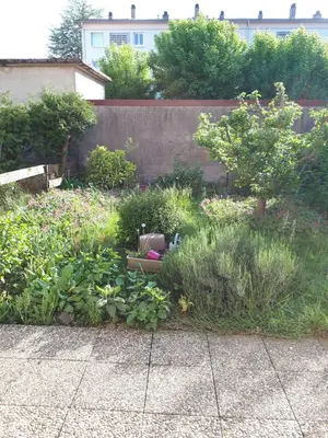 Jardin de l'établissement 25 Rue Raymond Braillard