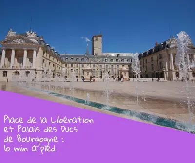 Piscine de l'établissement Cosy T2 38m2 - Centre-Ville Dijon- Gare/Darcy ou située à proximité