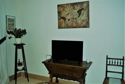Télévision ou salle de divertissement dans l'établissement Les Cimaises du Couvent